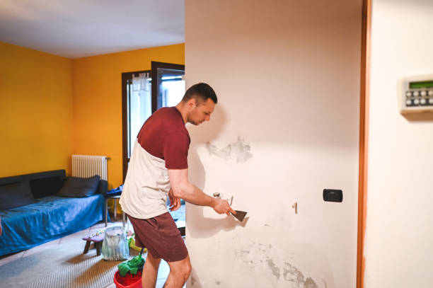 Best Post-Flood Mold Remediation in Magnolia, OH